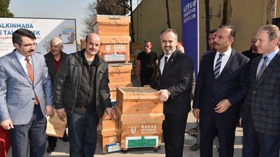 277 üreticiye 2 bin kovan