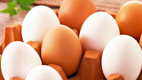 Ağustosta 1,6 milyar tavuk yumurtası üretildi