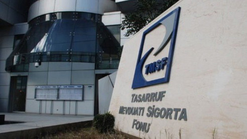 TMSF iki şirketi satışa çıkardı