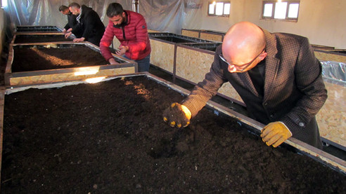Solucanlarla organik gübre üretiyorlar