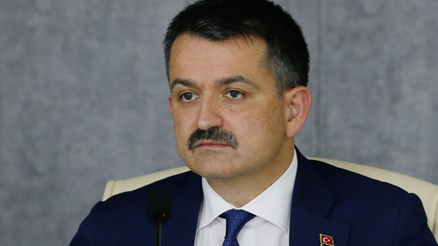 Bakan Pakdemirli'den fındık açıklaması