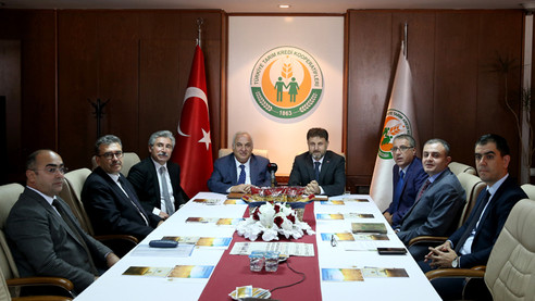 Tüccar aradan çıkacak, çiftçi makarnalık buğdayı doğrudan satacak