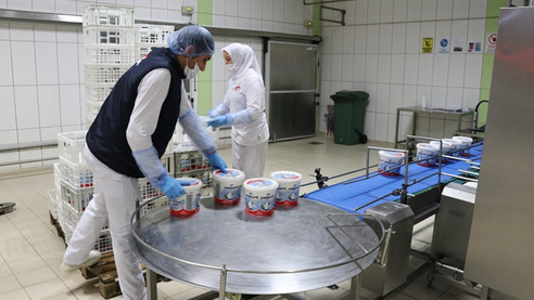 TMSF'deki şirket, cirosunu yüzde 40 artırdı