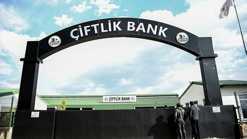 Çiftlik Bank benzeri 65 şirket radarda