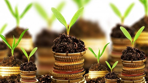 Organik tarım desteği başvurularında son gün 30 Mart