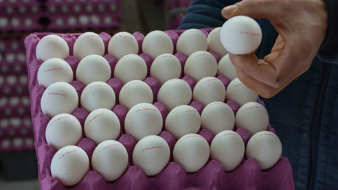 Yumurta satışında yeni dönem