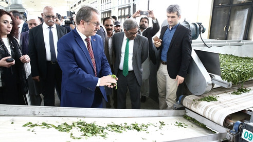 Çaykur Pakistan'da çay fabrikası açtı