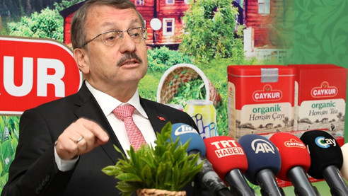 2018 yılı yaş çay alım kampanyası başladı