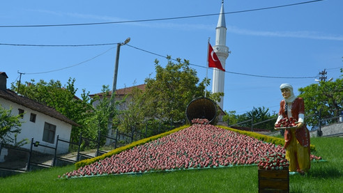 "Sermayecik"in sermayesi çilek