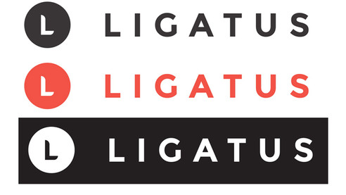 Ligatus, Türkiye’den çekiliyor