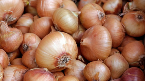 Soğanda gümrük vergisi sıfırlandı