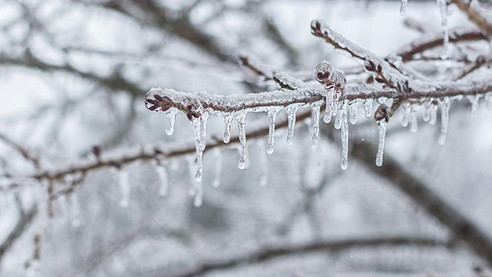 Meteorolojiden 4 il için buzlanma ve don uyarısı