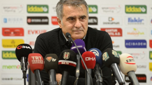 Milli Takım'da ikinci Şenol Güneş dönemi