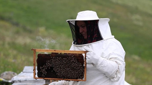 3. Apitoryum Buluşması Bursa’da yapıldı