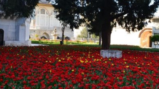 Topkapi Sarayi Has Bahceleri Yeniden Canlaniyor Kultur Sanat Haberleri