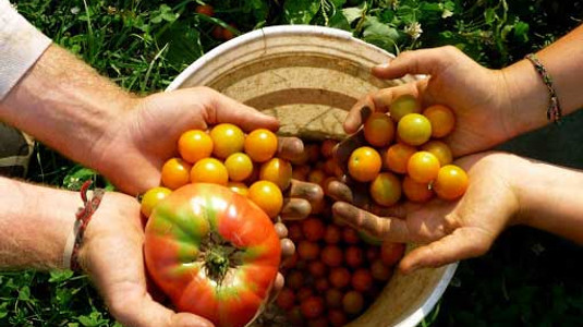 Dunya Nin 70 Inci Yeryuzu Pazari Tarsus Ta Aciliyor Yurttan Haberler Haberleri