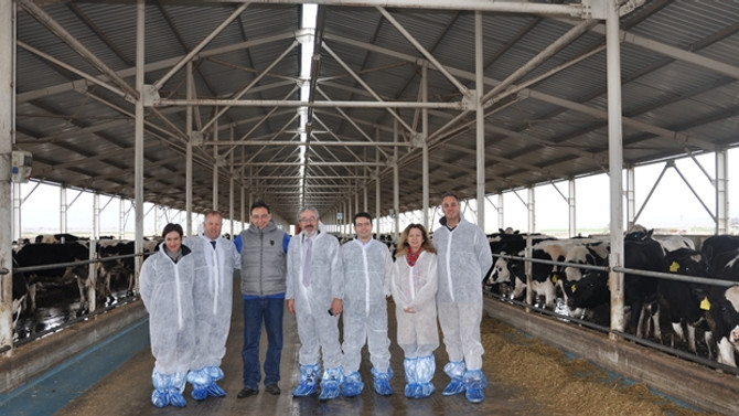 Sıkıntıdaki hayvancılığa Yeni Zelanda’dan işbirliği teklifi