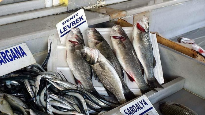 'Levrek ve çipura omega 3 zengini'