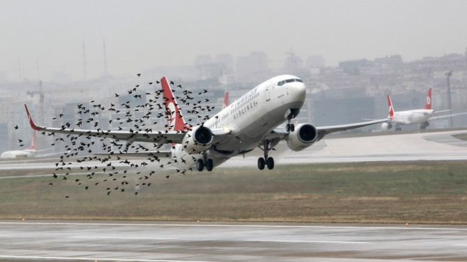 SHGM'dan 'kuş' genelgesi
