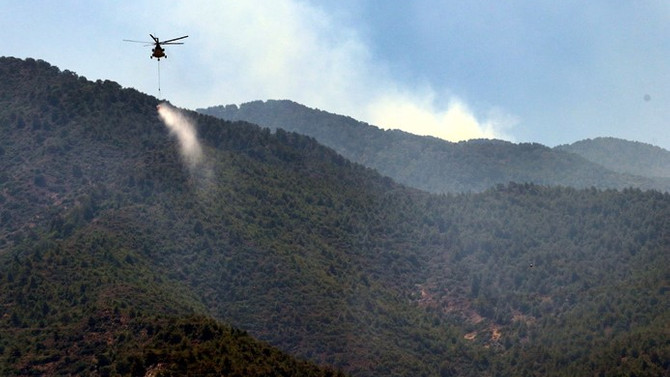 Hatay'da orman yangını