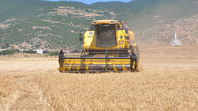 Buğday alım fiyatı belli oldu