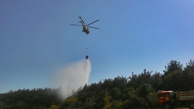 Tekirdağ'da orman yangını