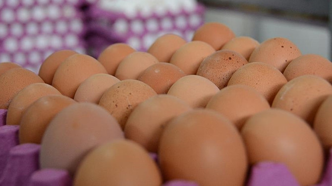 Hollanda'dan 'ilaçlı yumurta' açıklaması