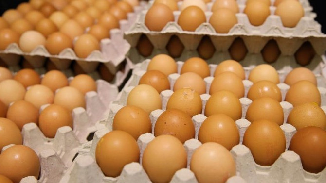 'Zehirli' yumurtaya bakanlık incelemesi