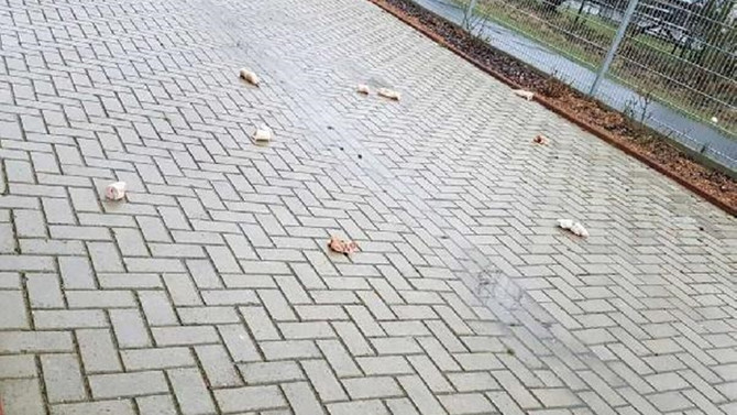 Almanya'da camiye saldırı