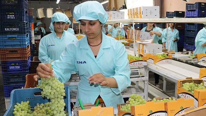 Rusya ve Avrupa'ya üzüm taşıyan tırlar yola çıktı