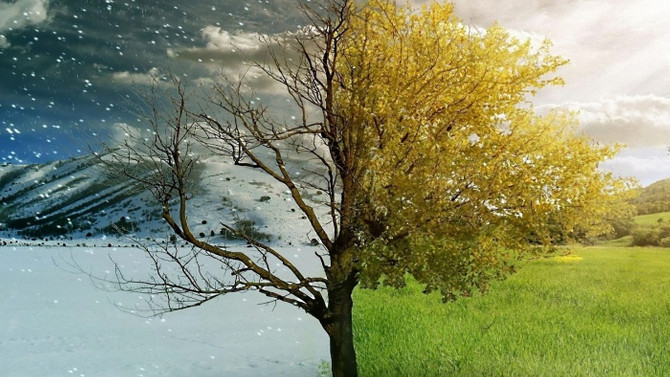 Ekonomide ilk yarı kış, ikinci yarı bahar