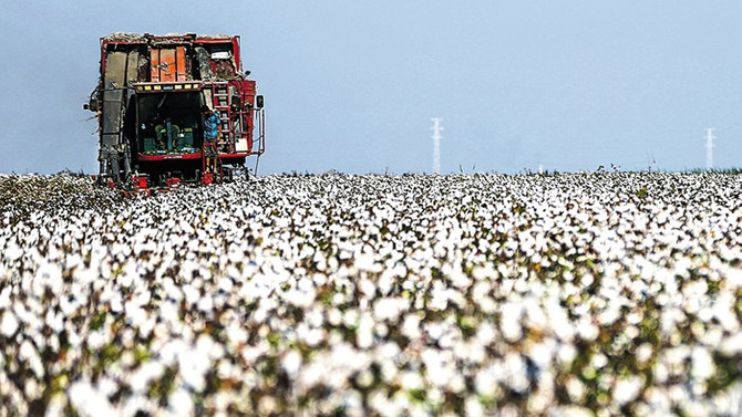 Sudan’da ortak tarım projesi başlamadan sona erdi