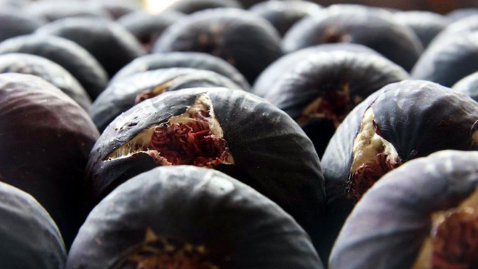 Tarım ve gıdada yüksek katma değerin adresi