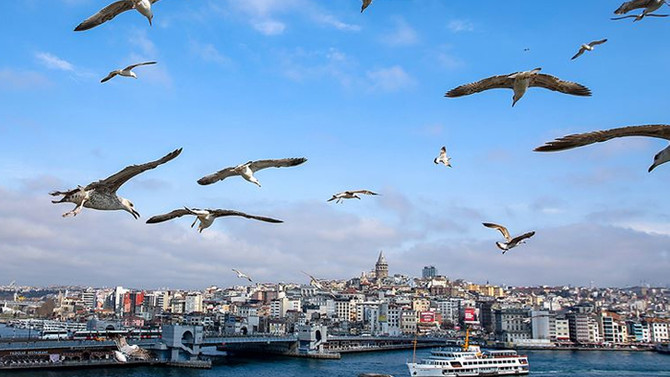 Aylik Yuzde 1 07 Yillik Yuzde 13 41 Istanbul Un Enflasyonu Aciklandi Sanal Basin