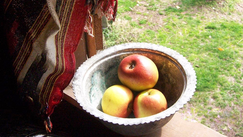 Piraziz elması tescillendi