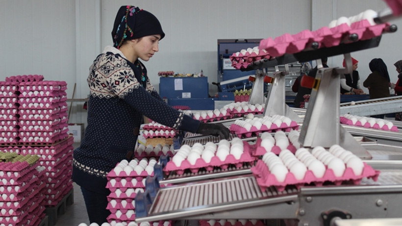 Yumurta fiyatının aylık belirlenmesi ihracatçıyı rahatlattı