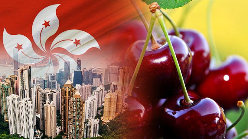 Hong Konglu firma kiraz ithal edecek
