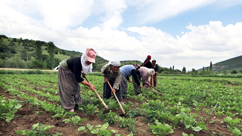 Tarım, işsizliği 2.2 puan düşürdü
