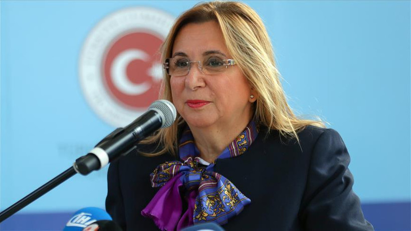"İç denetimler geçiş sürecinden sonra kalkacak"