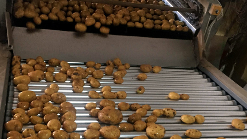 TZOB: Patates yiyin