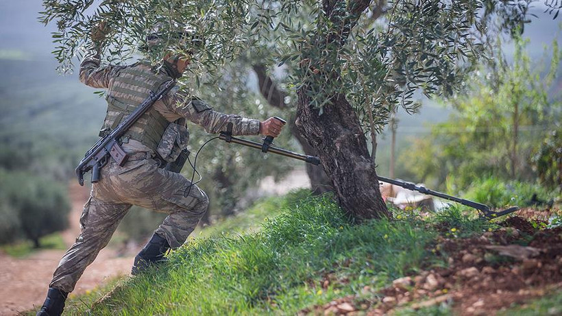 Afrin'de hayat normalleşiyor