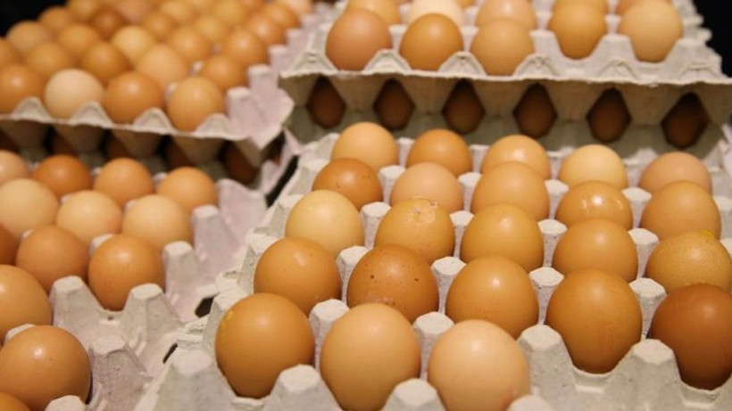 Yumurtada yeni uygulama bugün başlıyor