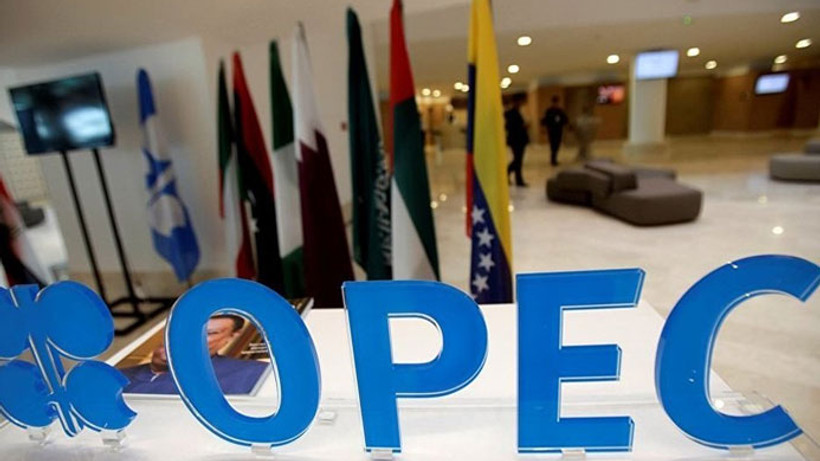 "OPEC'in petrolde belirli bir fiyat hedefi yok"