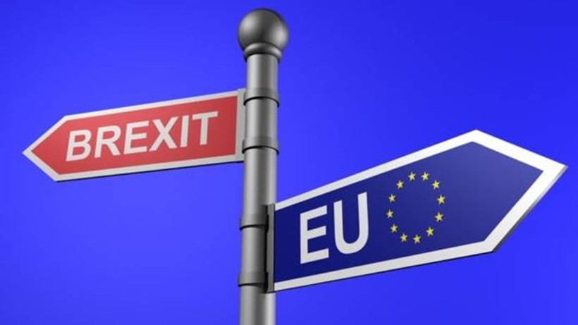 Brexit yanlısı vekiller, gümrük ortaklığına karşı