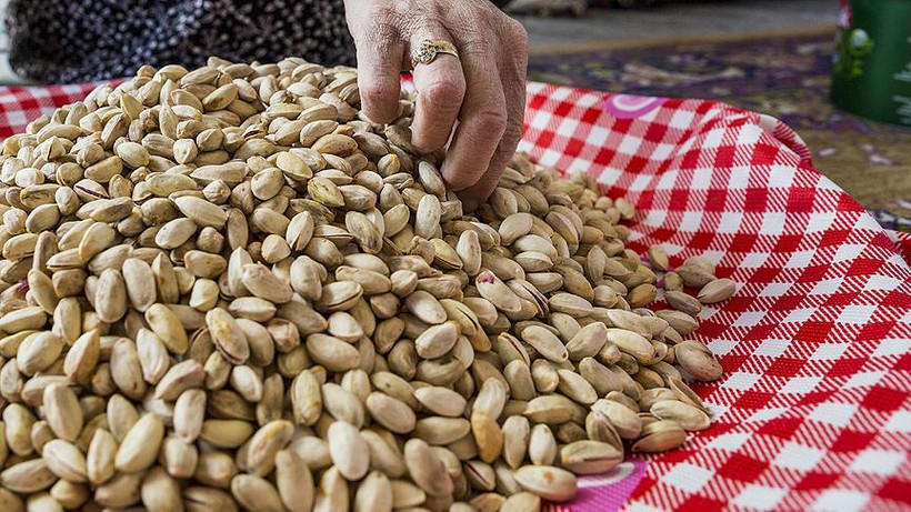 Antep fıstığında rekoltede düşüş fiyatı yükseltti