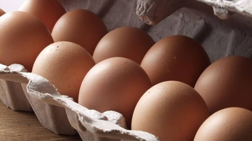 Polonya'da 4 milyon 300 bin yumurta geri toplatılıyor