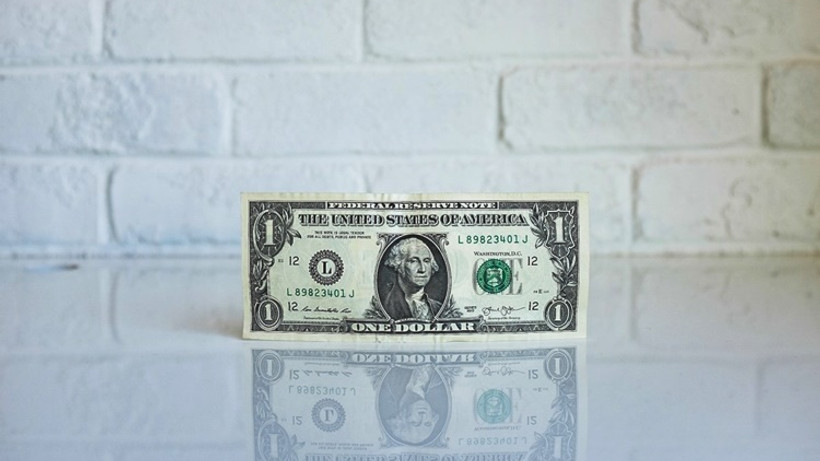 Dolar haftanın son gününde yatay