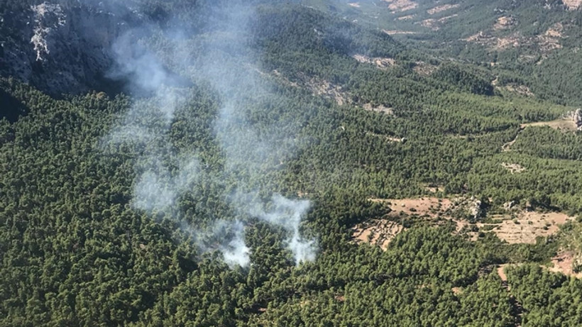 Antalya'da ormanlık alanda yangın