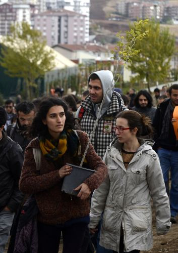 Belediye söktü, onlar yeniden fidan dikti - Sayfa 2