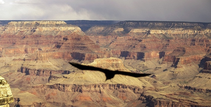 Grand Canyon her yıl 5 milyon turist çekiyor - Sayfa 1